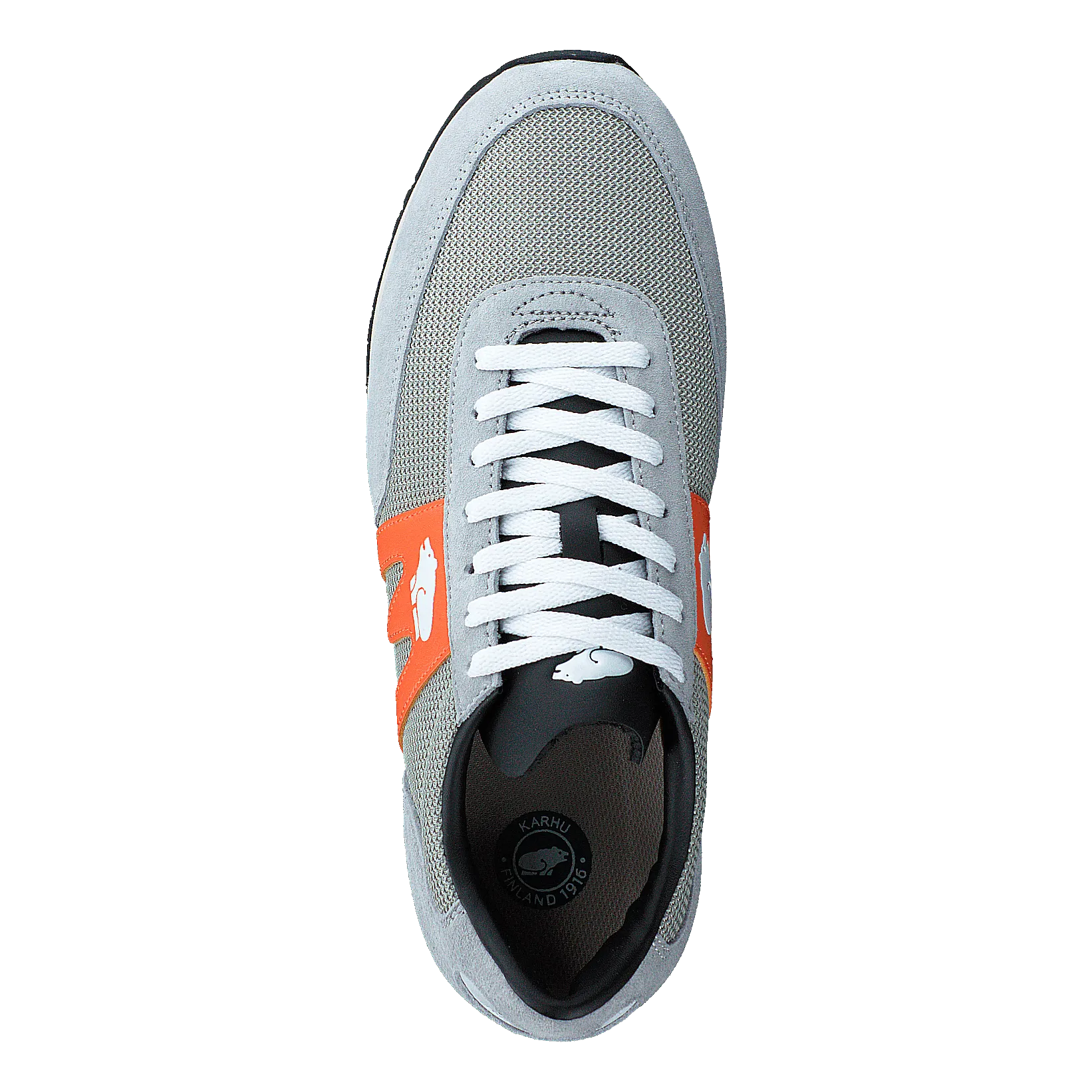 Albatross Dawn Blue / Carrot