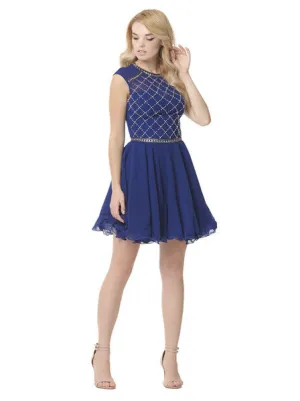 Beaded Sleevless Chiffon Skater Dress