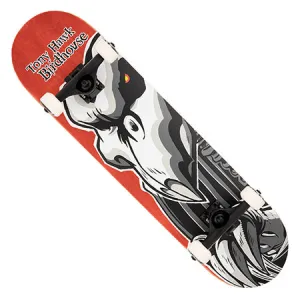 Birdhouse Tony Hawk Falcon 2 Complete Skateboard