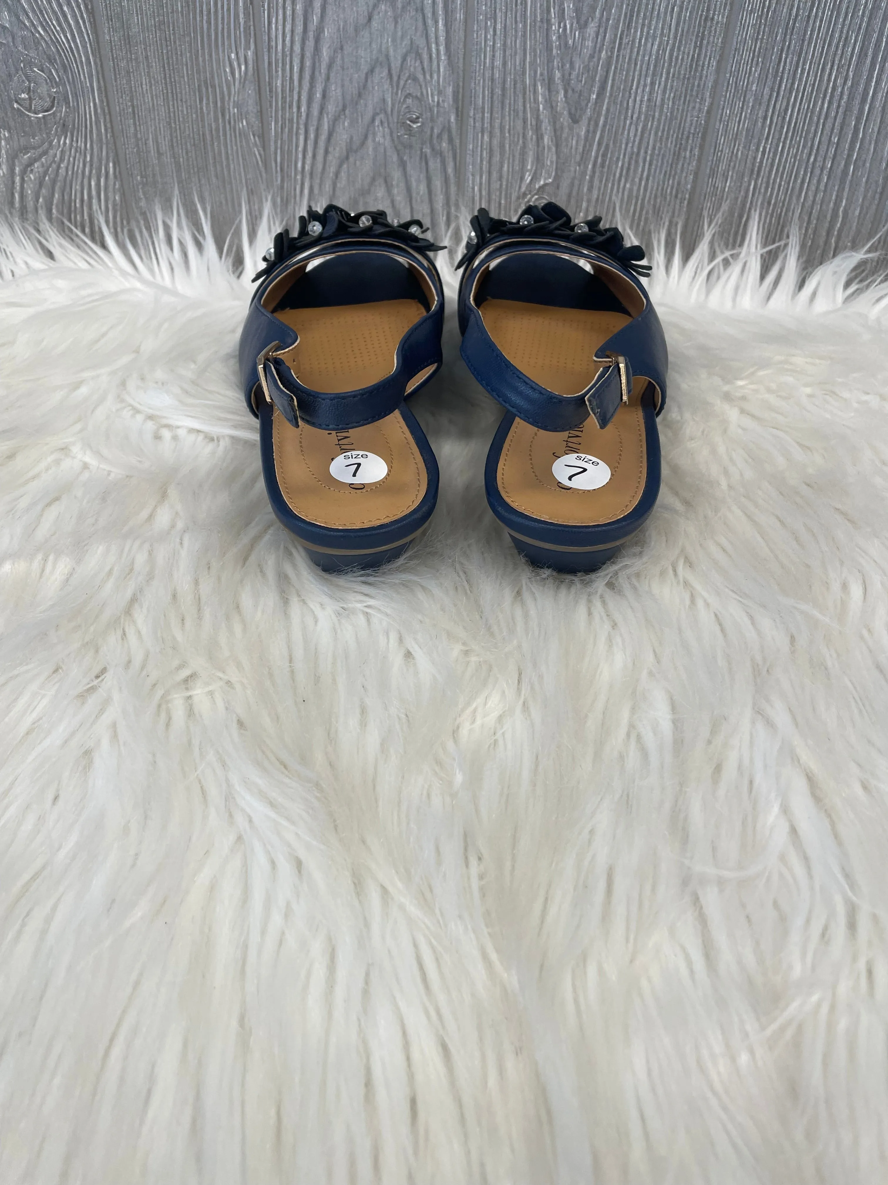 Blue Shoes Heels Wedge Clothes Mentor, Size 7