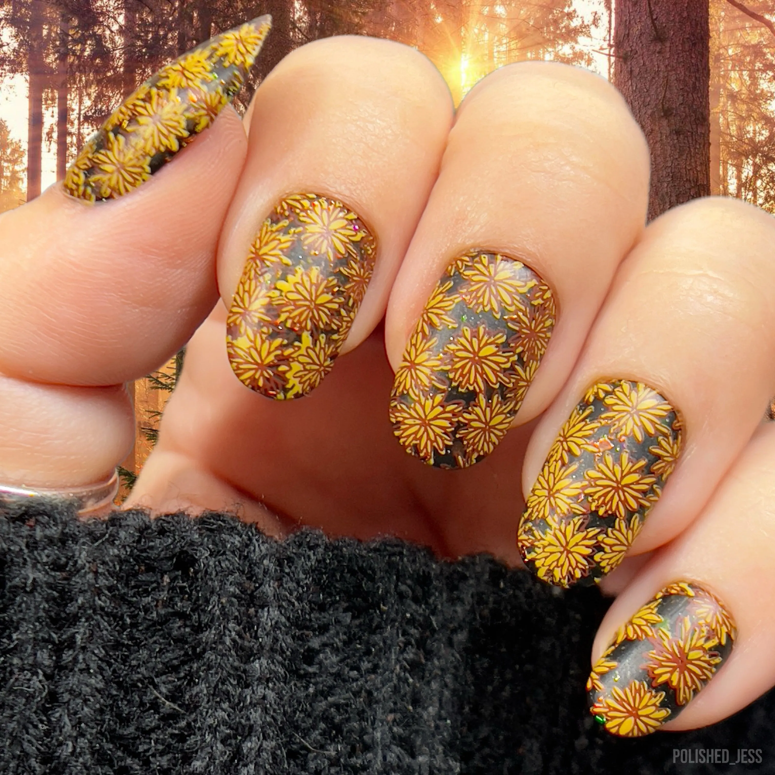 Harvest Glow (CjSLE-06) Steel Nail Art Layered Stamping Plate