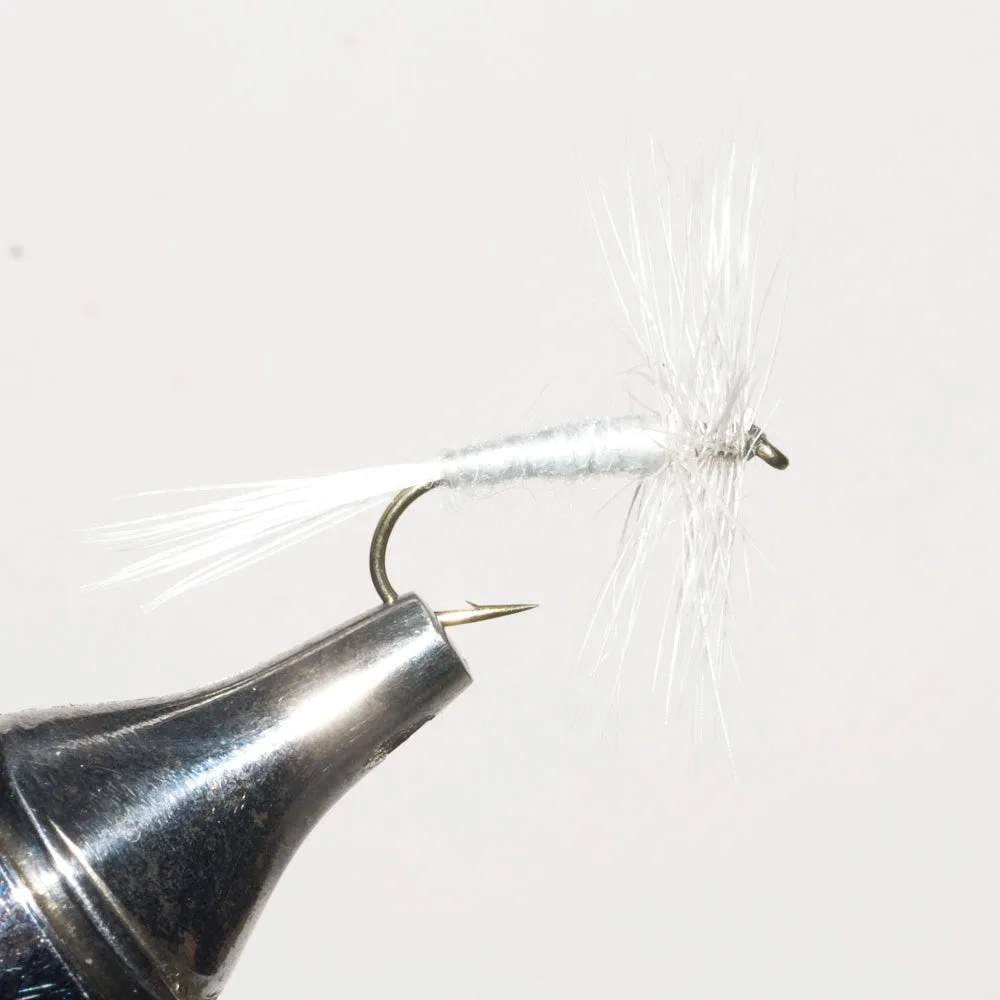 Murray's Mini Trout Skater