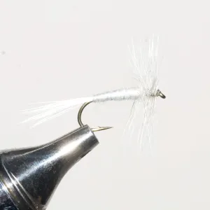 Murray's Mini Trout Skater