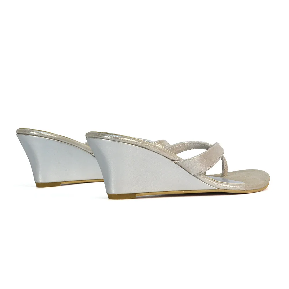 Shona Toe Post Slip On Low Wedge Heel Sandal Mules in Silver